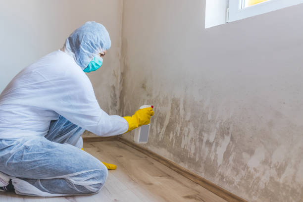 Bathroom Mold Removal assessment in Church Hill bathroom