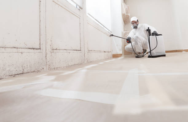 Black mold remediation team in Church Hill
